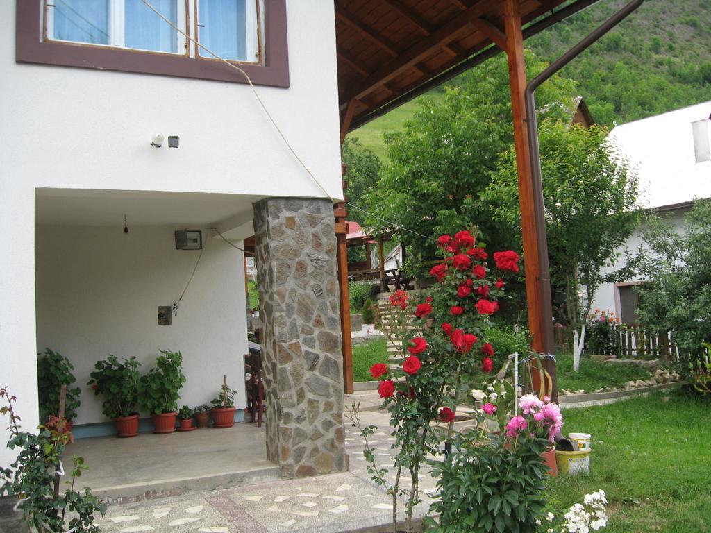 Pensiunea Piatra Mandrutului Scarisoara  Exterior photo