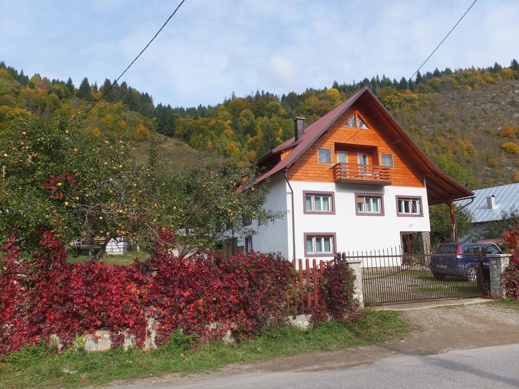 Pensiunea Piatra Mandrutului Scarisoara  Exterior photo