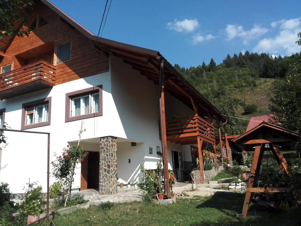 Pensiunea Piatra Mandrutului Scarisoara  Exterior photo