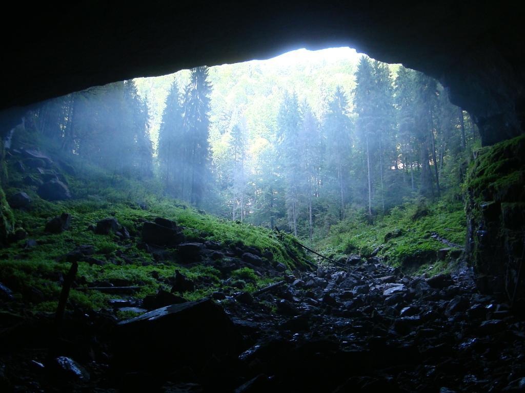 Pensiunea Piatra Mandrutului Scarisoara  Exterior photo