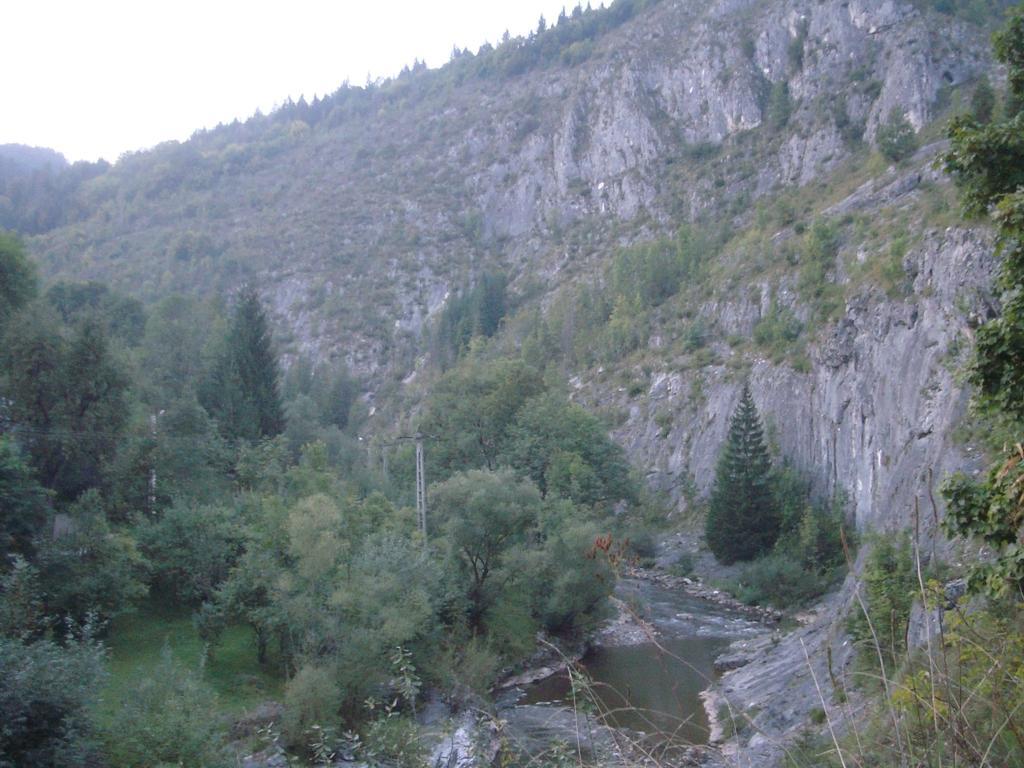 Pensiunea Piatra Mandrutului Scarisoara  Exterior photo